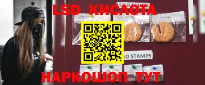 прущие грибы Нальчик