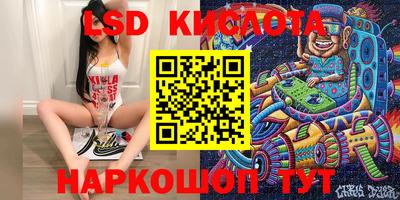 прущие грибы Нальчик