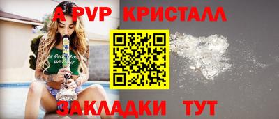 прущие грибы Нальчик