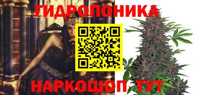 прущие грибы Нальчик