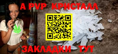 прущие грибы Нальчик
