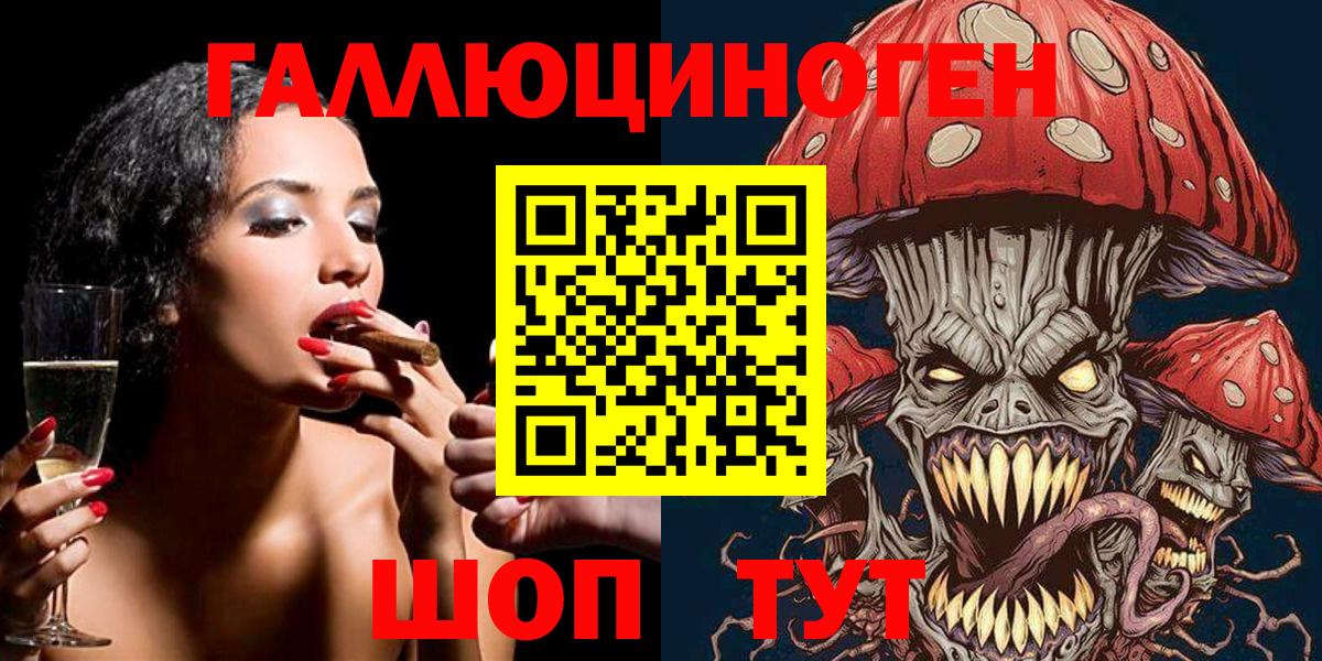 Серов  Псилоцибиновые грибы MAGIC MUSHROOMS  Вход с VPN  Галлюциногенные грибы Psilocybe 